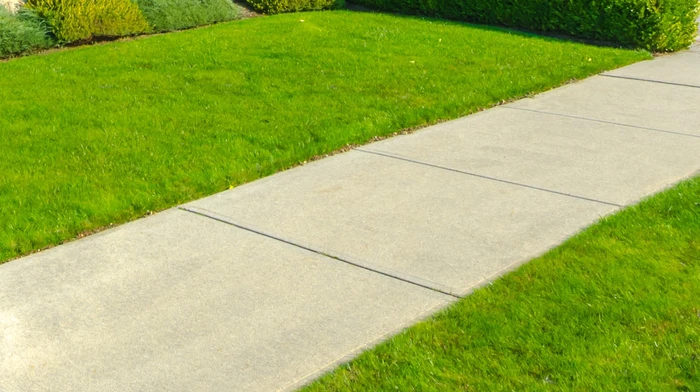 Walkway Concrete Grass Yard